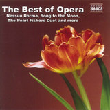 Rigoletto: Rigoletto, Act IV: Quartet: Bella figlia dell'amore
