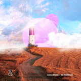 Too Many Roads (Extended Mix)