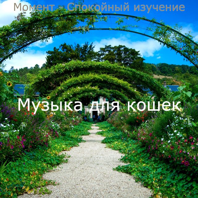 Момент - Спокойный изучение