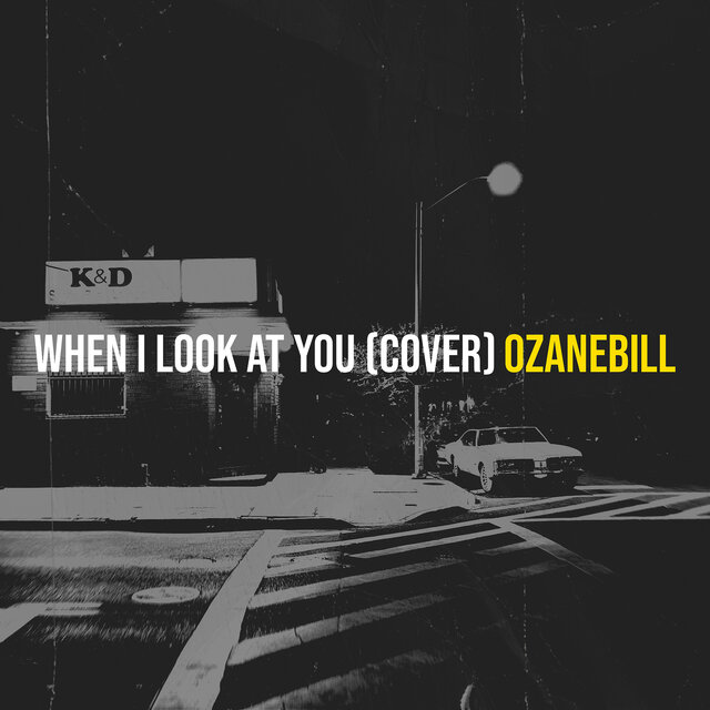 When I Look at You (Cover)