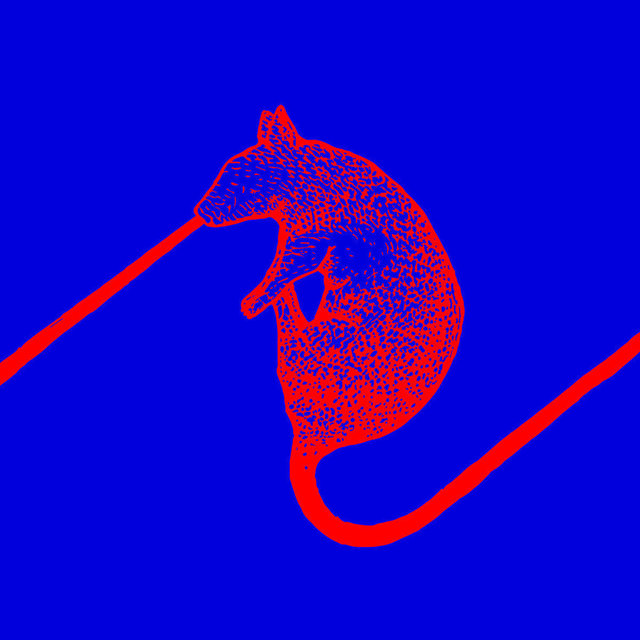 Rats  Don't  Eat  Synthesizers