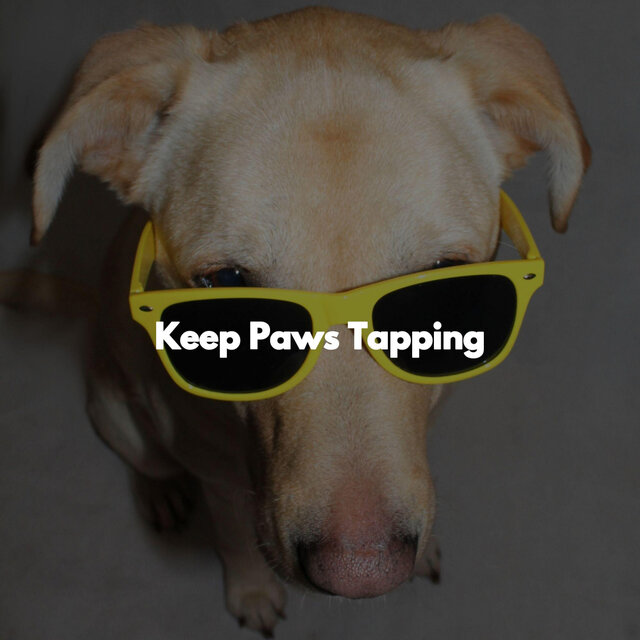 Keep Paws Tapping