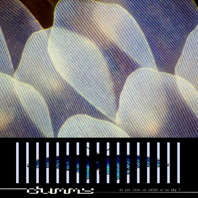 Cover art for album do you love the color of the sky? by Dummy