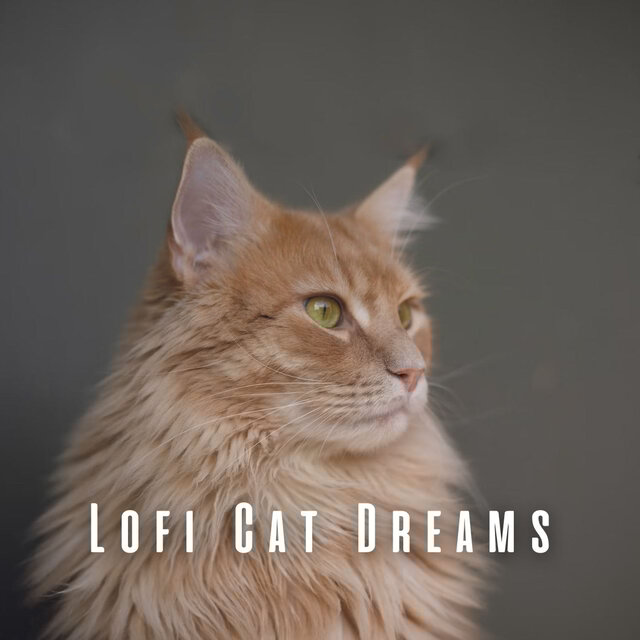 Lofi Cat Dreams: Chill Melodies for Restful Sleep