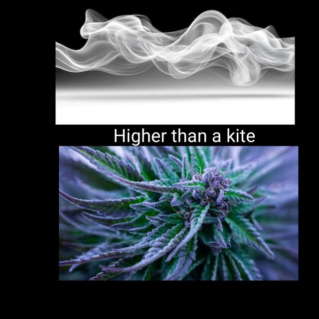 Higher than a kite