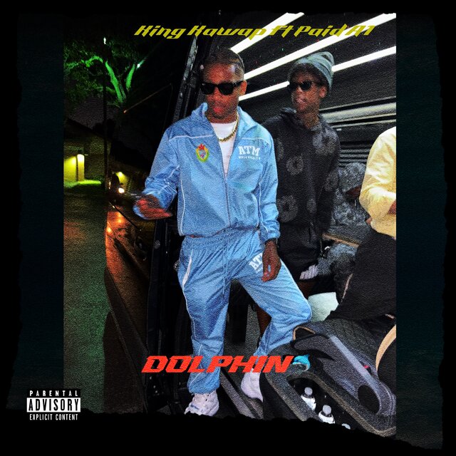 Dolphin by King Kawap & Paid A1 on TIDAL