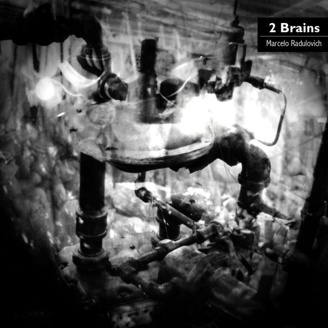 2 Brains