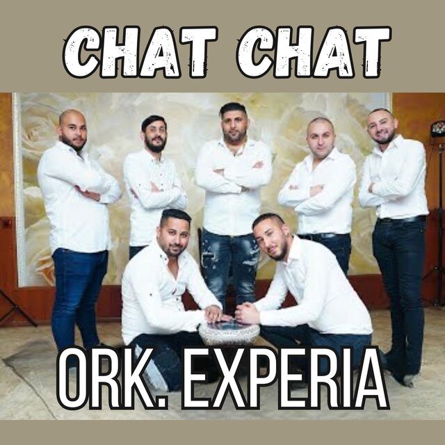 Chat chat