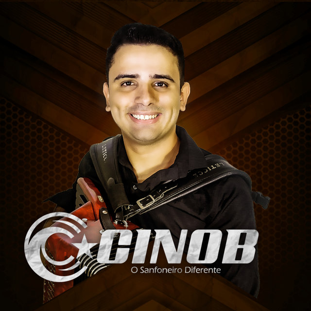 O Sanfoneiro Diferente