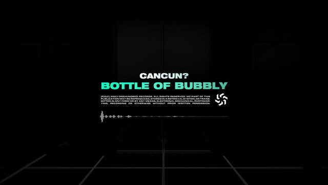 Bottle of Bubbly