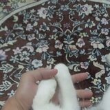 Aurra