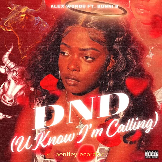 DND (U Know I'm Callin') (Remix)