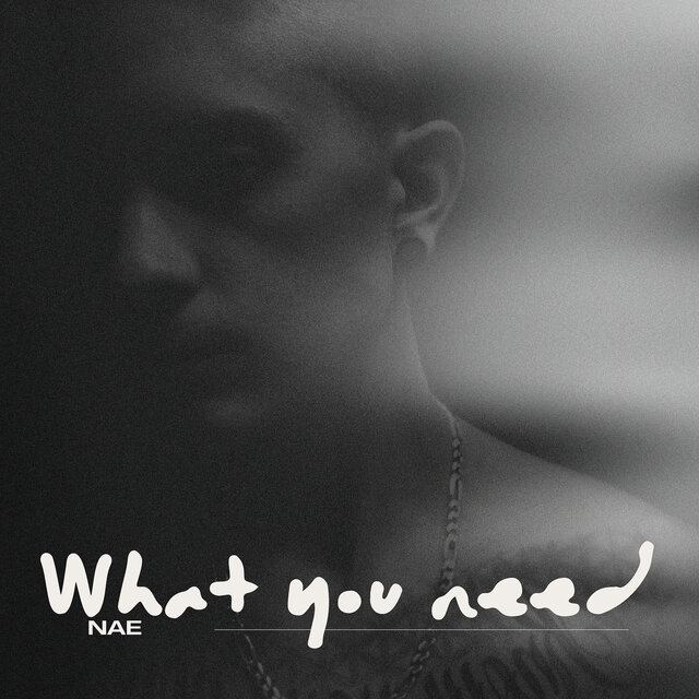What You Need