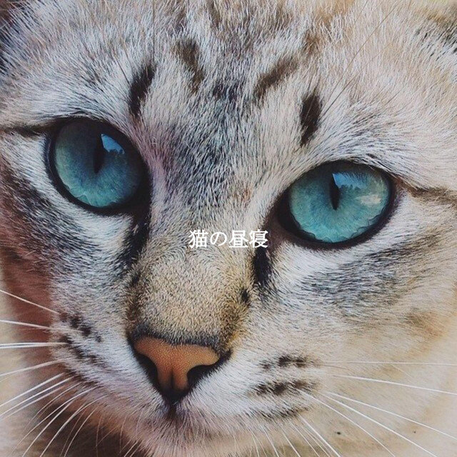 Cover art for album  by Música Bonita para Cafés