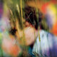 Cover art for album Sam Amidon by Sam Amidon