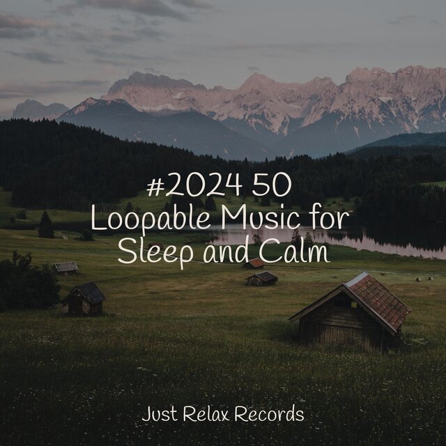 #2024 50 Loopable Music for Sleep and Calm