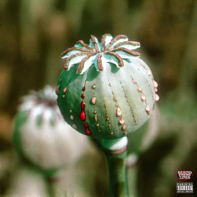 OPIUM