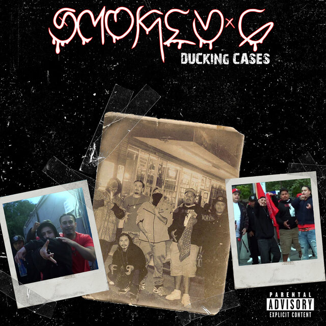 Duckin Cases