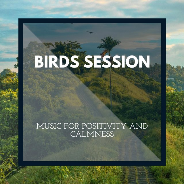 Birds Session - Music for Positivity and Calmness