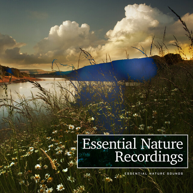 Essential Nature Recordings