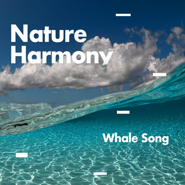 Nature Harmony