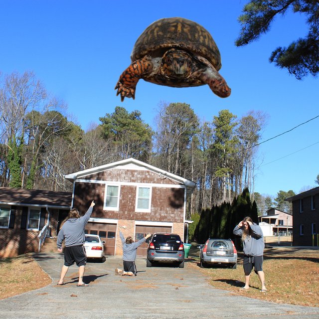 Attack of the Giant Flying Turtle