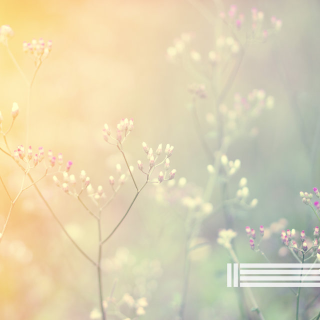 Piano Ambiental