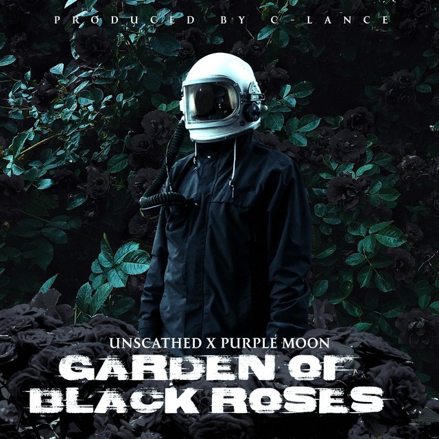 Garden of Black Roses