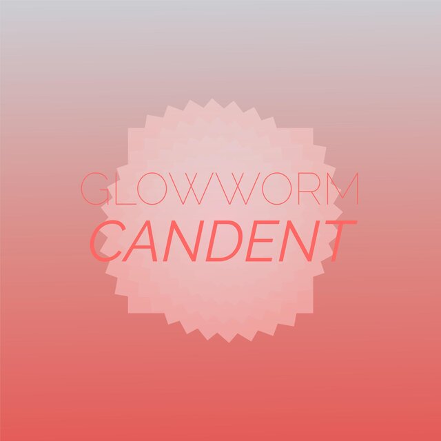 Glowworm Candent