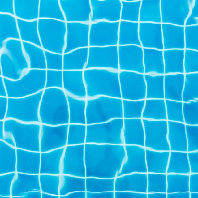 神経質な水
