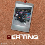 9er Ting