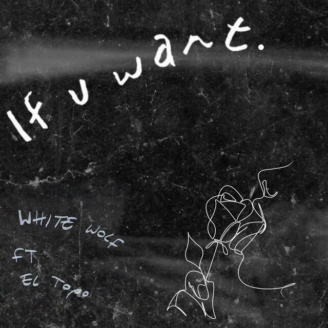 if u want (feat. Dlanuria)