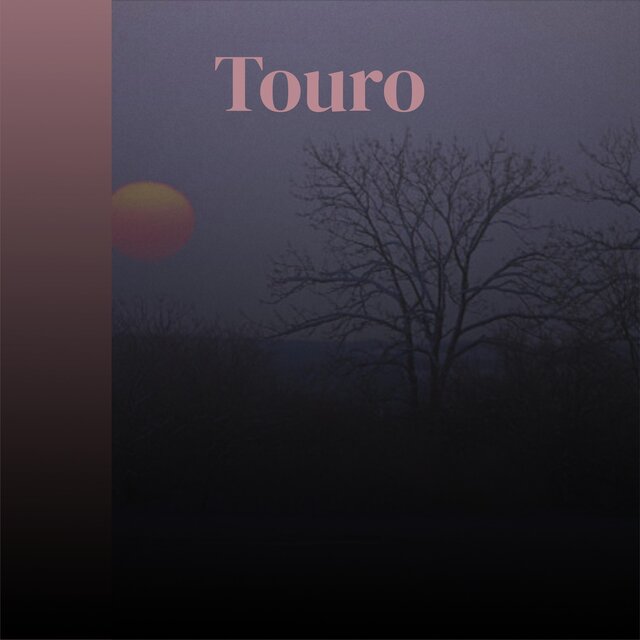 Touro