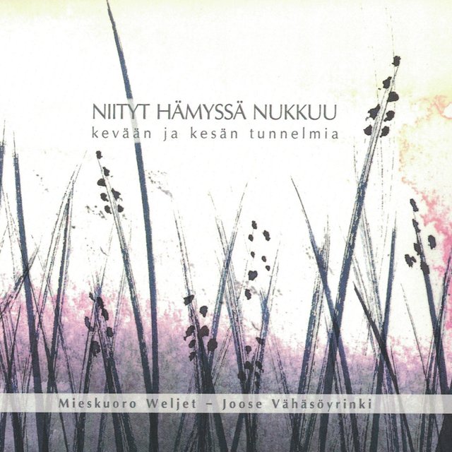 Niityt hämyssä nukkuu