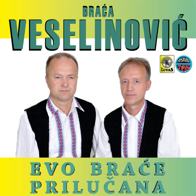 Evo brace Prilucana