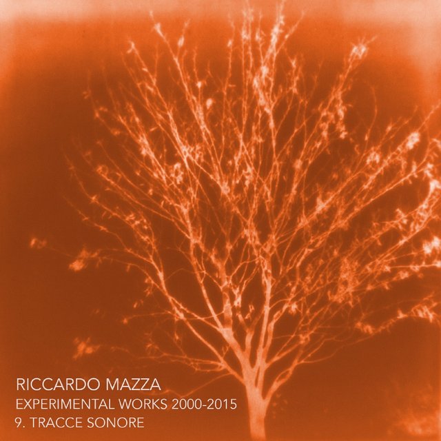 Experimental Works 2000-2015: Tracce Sonore (Disk 9)