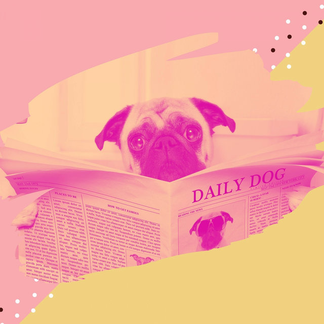 Backdrop for Calming Puppies - Glockenspiel Music