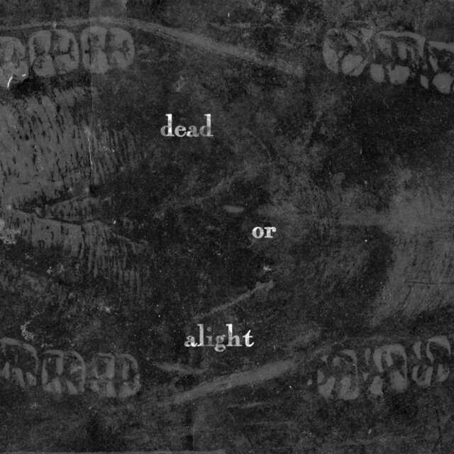 Dead or Alight