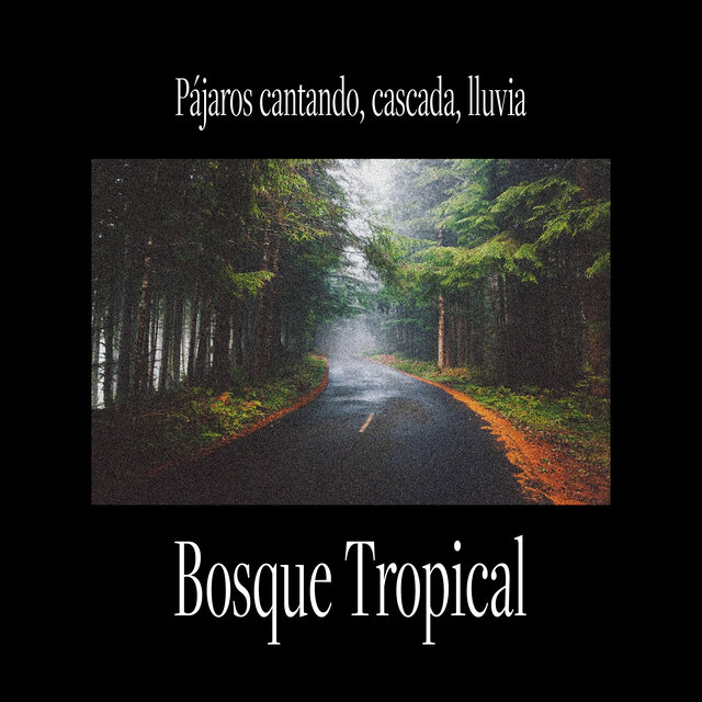 Pájaros cantando, cascada, lluvia