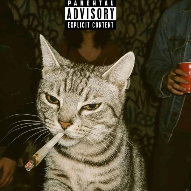 PARTY PACK 2