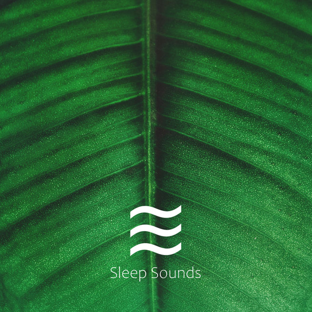 Deep Noises for Sleep