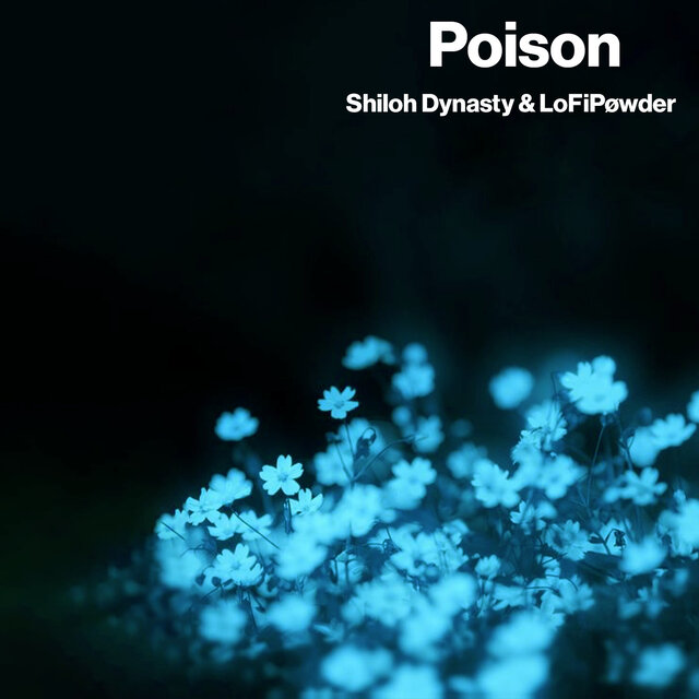 Poison (Dance Edit)