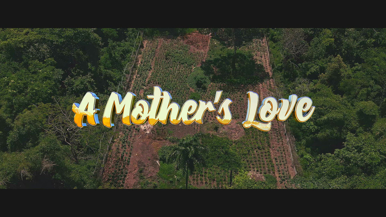 A Mother's Love