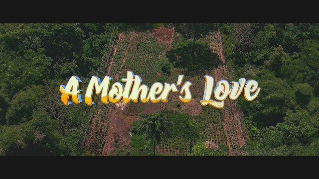 A Mother's Love