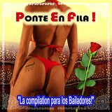 Sin medidas