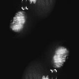 Blurry Lines, Pt. 2 (free at last)