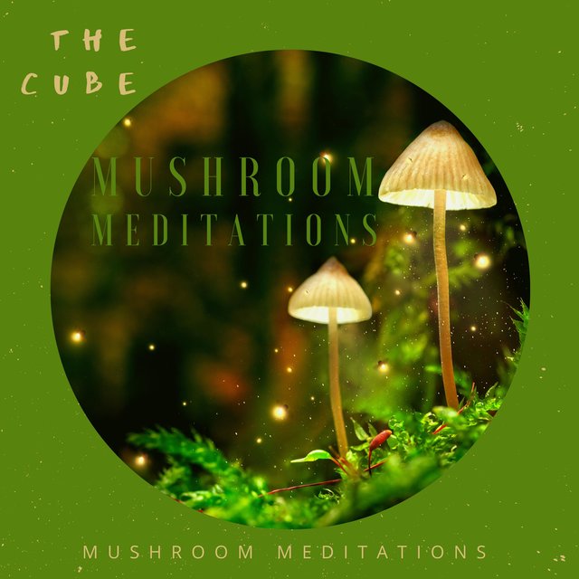 Mushroom Meditations
