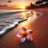 Aloha Vibes