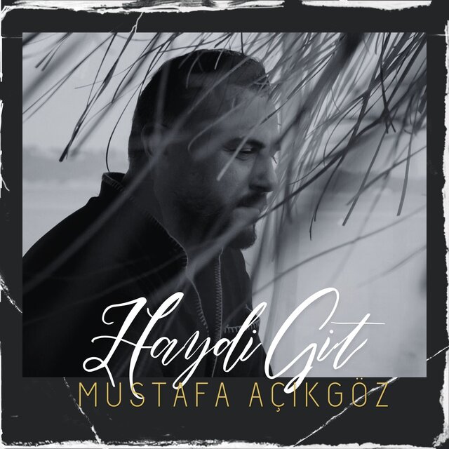 Haydi Git