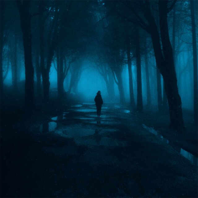 midnight walk